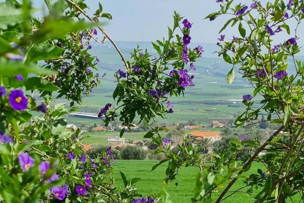 Kolibri In Galilee Apartment